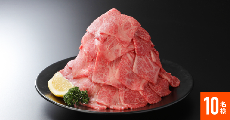 しまね和牛 バラエティ切落し 1kg 10名様